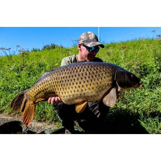 Gafas De Sol Fortis Eyewear Vistas XBlok Gris Azul 9 Gafas De Sol Fortis Eyewear Vistas XBlok Gris Azul - Imagen 7