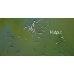 Alijn Danau La Venganza De La Púa -Fox Tienda de ventas Alijn20Danau20De20Wraak20van20de20Weerhaak3 550x550w