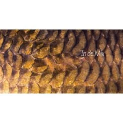 Alijn Danau La Venganza De La Púa -Fox Tienda de ventas Alijn20Danau20De20Wraak20van20de20Weerhaak6 550x550w