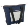 Campingaz Cooler Bag Bolsa De Transporte 13 Litros Azul-Gris 2 Campingaz Cooler Bag Bolsa De Transporte 13 Litros Azul-Gris -Fox Tienda de ventas Campingaz Koeltas Carry bag 13 Liter Blauw Grijs 550x550w