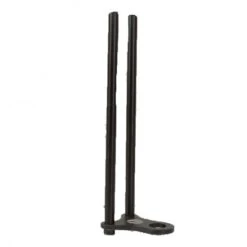 Oreja De Pollo Cygnet