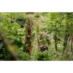 Fortis Eyewear Chaqueta Marina Realtree -Fox Tienda de ventas DSC00093 550x550w