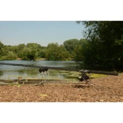 Solar P1 Worldwide Pod 3 Varilla Ajustable Kit Completo -Fox Tienda de ventas DSC 0915 550x550w 1