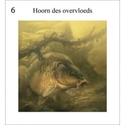 Rob Schneider Carpa A La Vista 17 Rob Schneider Carpa A La Vista -Fox Tienda de ventas Karper20in20zicht2010 550x550h