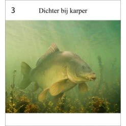 Rob Schneider Carpa A La Vista 14 Rob Schneider Carpa A La Vista -Fox Tienda de ventas Karper20in20zicht203 550x550h