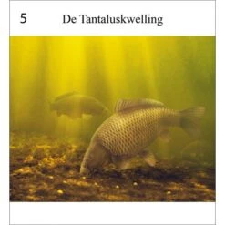 Rob Schneider Carpa A La Vista 16 Rob Schneider Carpa A La Vista -Fox Tienda de ventas Karper20in20zicht204 550x550h