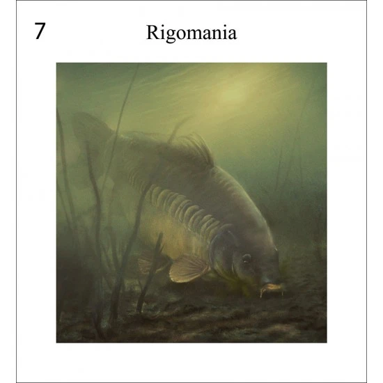 Rob Schneider Carpa A La Vista 10 Rob Schneider Carpa A La Vista - Imagen 8