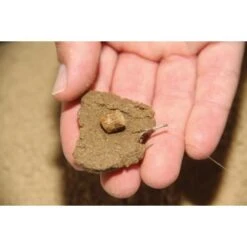 DYNAMITE BAITS Pasta De Toba Dinamita Crave Boilie Y Envoltura De Plomo -Fox Tienda de ventas Tuff Paste1 team outdoors 550x550w