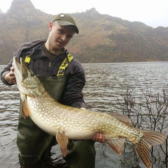 Vadeadores Vass Tex 740E Super Nova 16 Vadeadores Vass Tex 740E Super Nova - Imagen 14