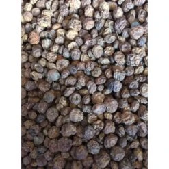 Visaasonline Chufa Seca 6-15mm 20 Kilo -Fox Tienda de ventas Visaasonline20Tijgernoten20Droog202020Kilo 550x550h