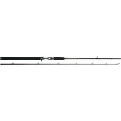 Westin W3 Jerkbait-T 2º 195cm H 20-80g 2seg