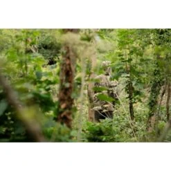 Fortis Eyewear Chaqueta Marina Realtree -Fox Tienda de ventas Wide 550x550w