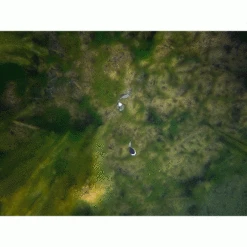 Kit De Flotador Fox Edges Zig -Fox Tienda de ventas Zig20Edges20Float20Kit20Fox10 550x550w