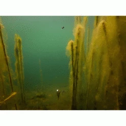 Kit De Flotador Fox Edges Zig -Fox Tienda de ventas Zig20Edges20Float20Kit20Fox8 550x550w