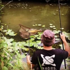 Señuelos CC Moore Duo Floater Hookbaits 12x14mm -Fox Tienda de ventas cc moore oppervlakte aas buzzz team outdoors 550x550 1