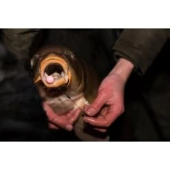 CC Moore Dairy Supreme Plus Pop Ups Gama Elite 13-14mm -Fox Tienda de ventas dairy supreme plus 5 team outdoors 550x550w