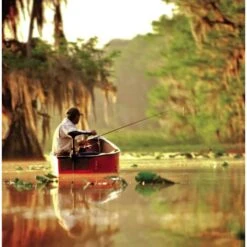 Minn Kota Endura C2 40 Libras -Fox Tienda de ventas endura20c2207 550x550h 6