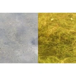 Fortis Eyewear Gafas De Sol OverWraps 24 7 Marrón -Fox Tienda de ventas fortis overwraps foto2 team outdoors 550x550w