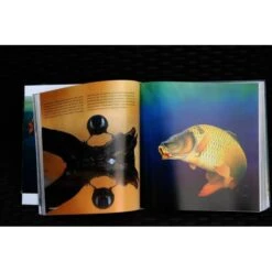 Rini Groothuis Dinamita Inactiva 2.0 -Fox Tienda de ventas sluimerend dynamiet 20 rini groothuis 550x550w