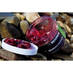 CC Moore Bloodworm Hookbait Wafters 10x14mm -Fox Tienda de ventas worm 2 team outdoors 550x550w